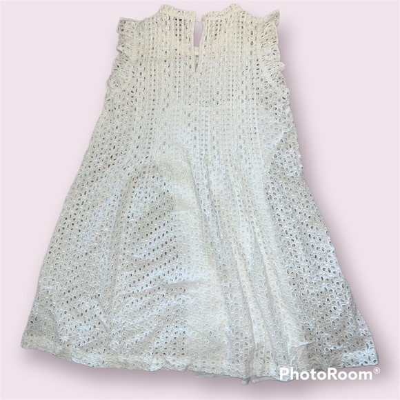 NWT Madewell Eyelet Ruffle-Sleeve Pintuck Mini Dress - Picture 6 of 16